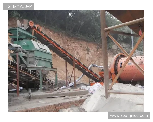 明珠国际娱乐平台：多样化的支付方式满足不同地区玩家需求